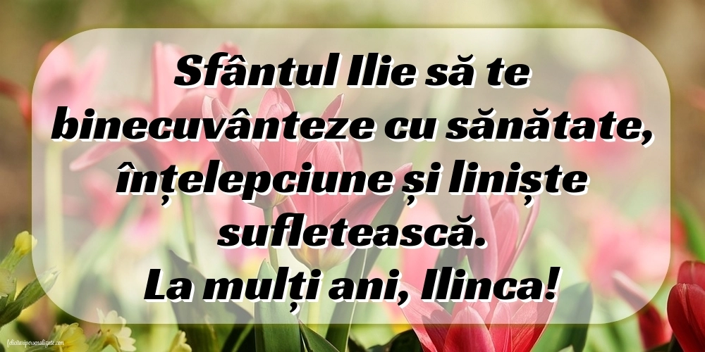 Imagini cu urări de Sfântul Ilie: Flori