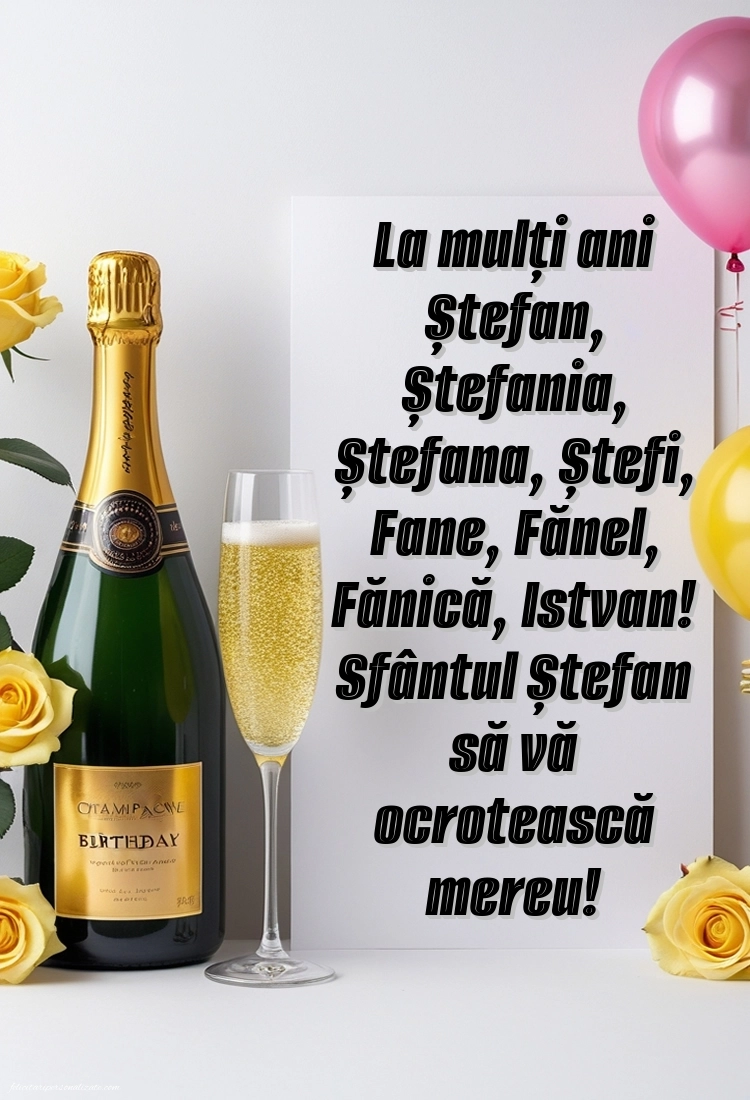 Imagini de la mulți ani de Sfântul Ștefan: Șampanie și baloane