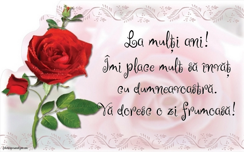 Felicitări frumoase de Ziua de Naștere pentru Învățătoare: Flori