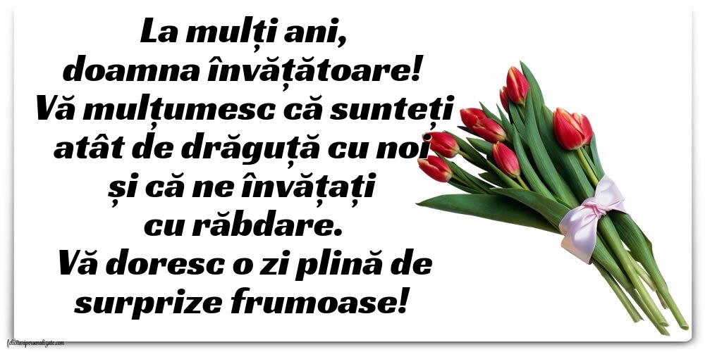 Imagini frumoase de LA MULȚI ANI pentru Învățătoare: Lalele