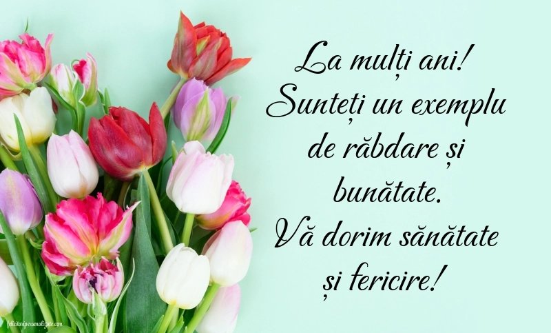 Felicitări frumoase de Ziua de Naștere pentru Învățătoare: Lalele