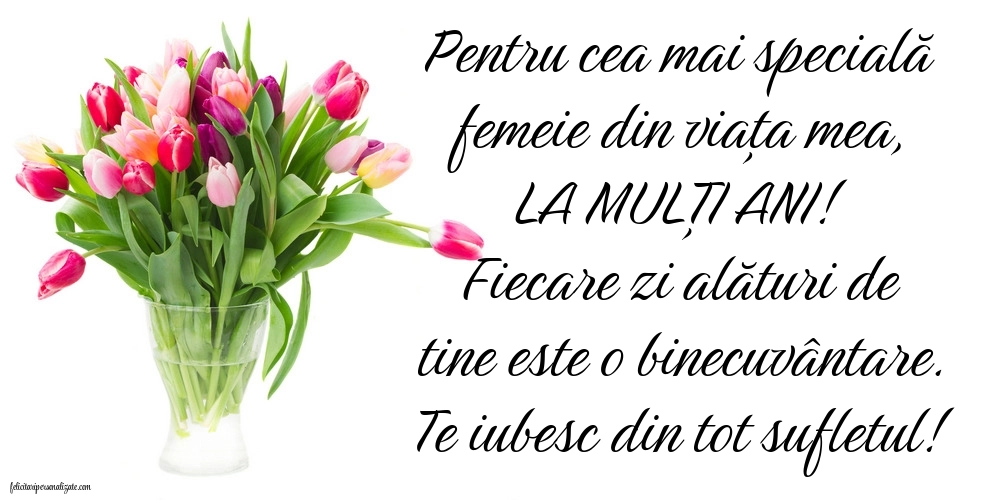 Felicitări de LA MULȚI ANI pentru Soție: Lalele