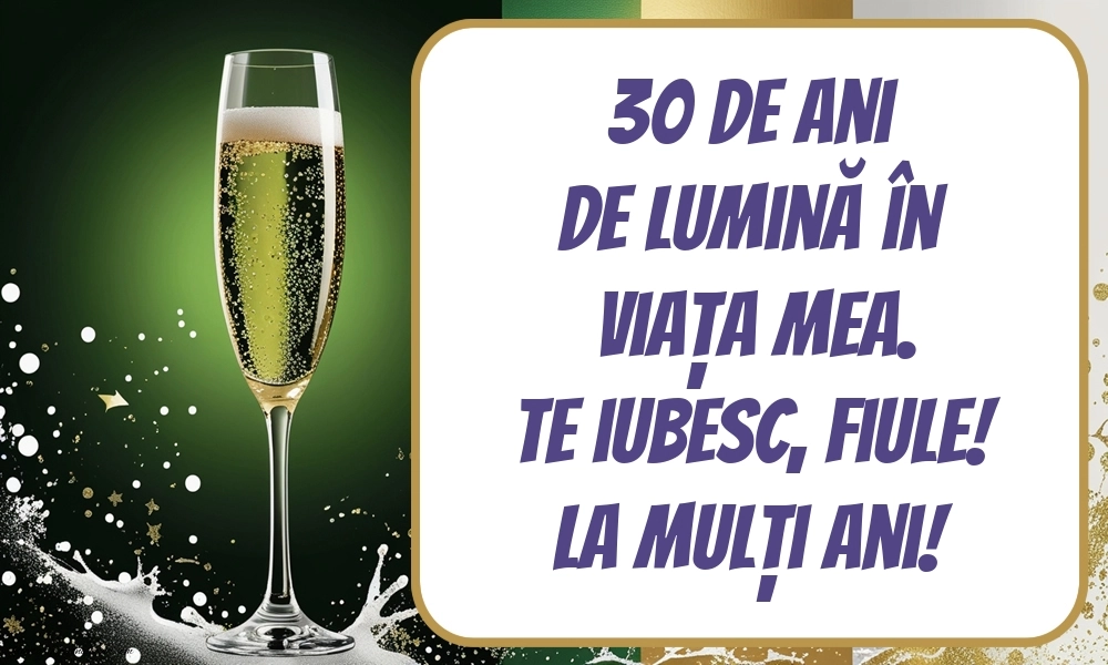 Imagini cu LA MULȚI ANI 30 ani pentru Fiu: Șampanie