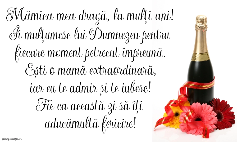 Imagini de LA MULȚI ANI de la Fiu pentru Mamă: Șampanie și flori