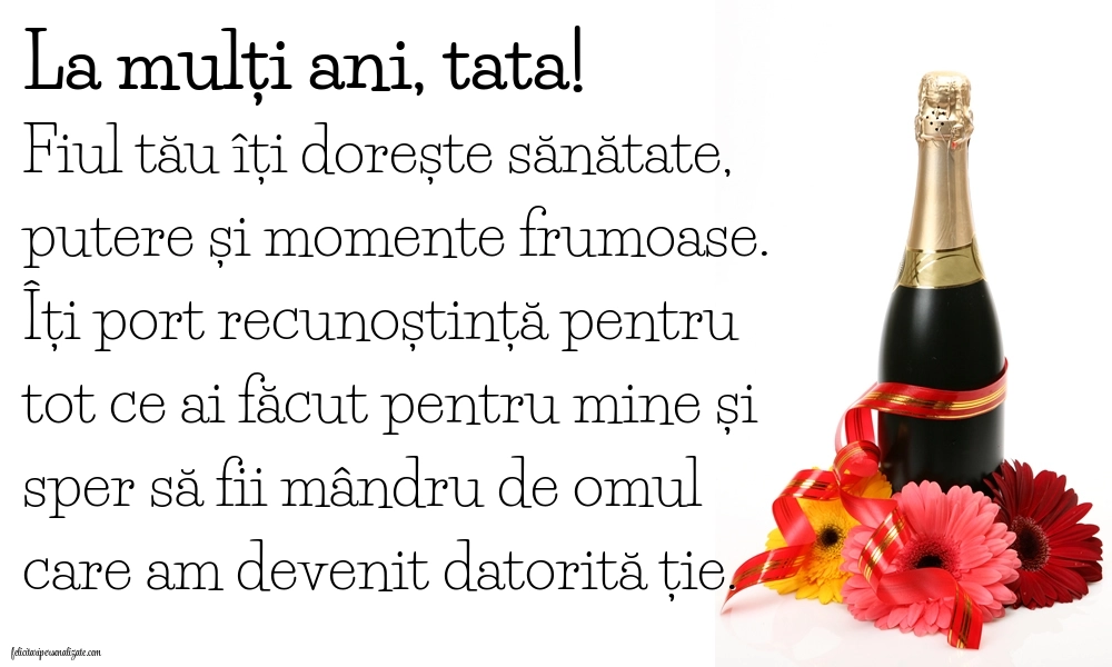 Imagini de LA MULȚI ANI de la Fiu pentru Tată: Șampanie și flori