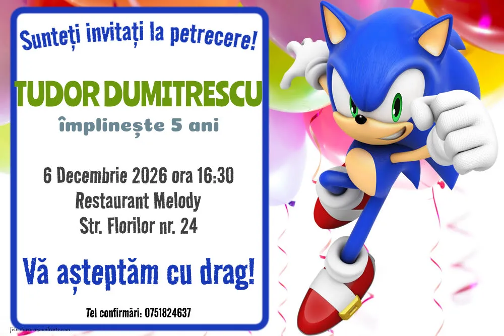 Exemplu completat: Invitație cu Ariciul Sonic