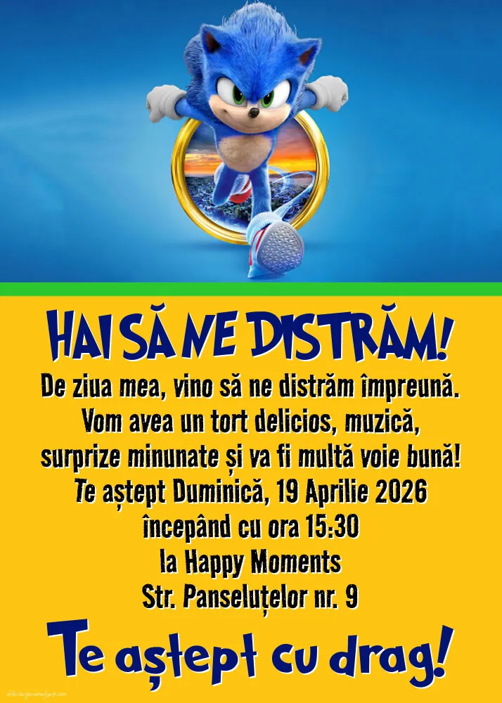 Exemplu completat: Invitație cu Ariciul Sonic