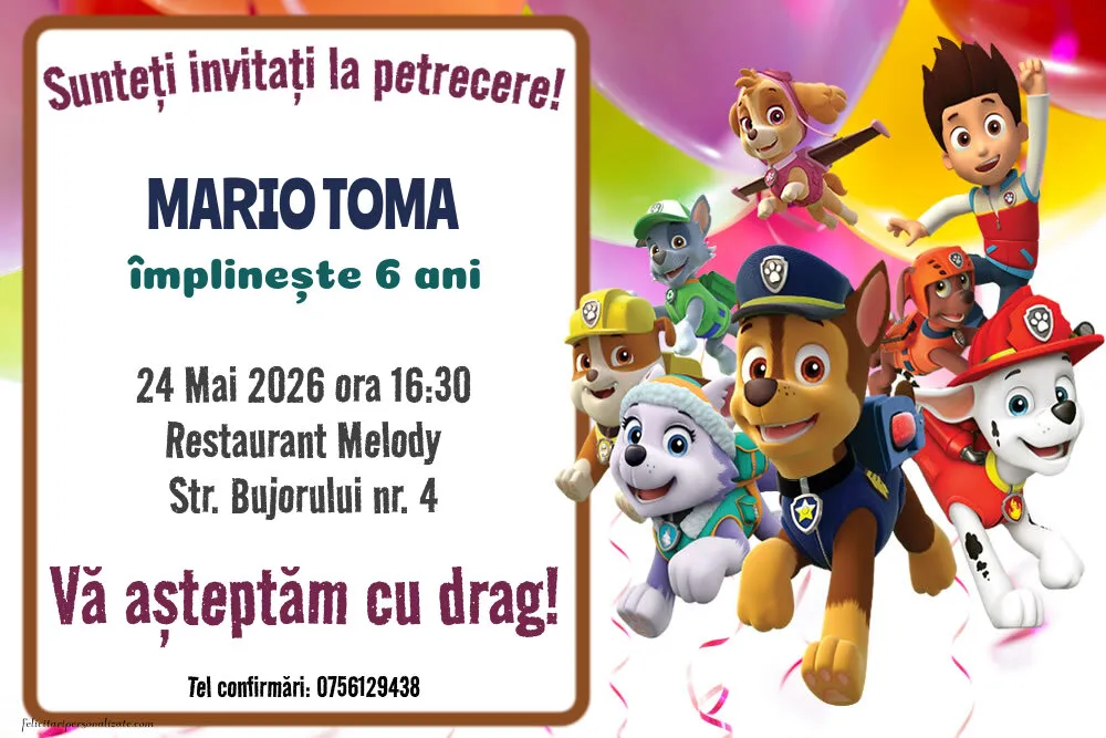 Exemplu completat: Invitație cu Patrula catelusilor