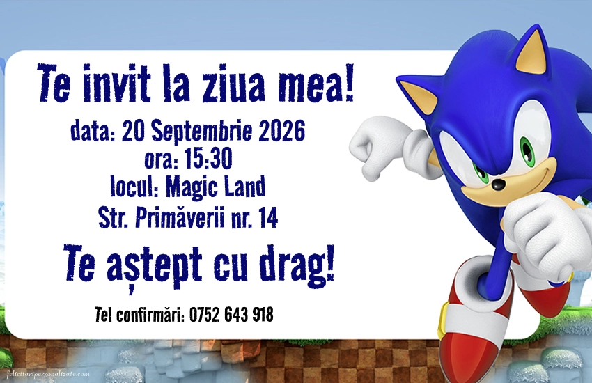 Exemplu completat: Invitație cu Ariciul Sonic